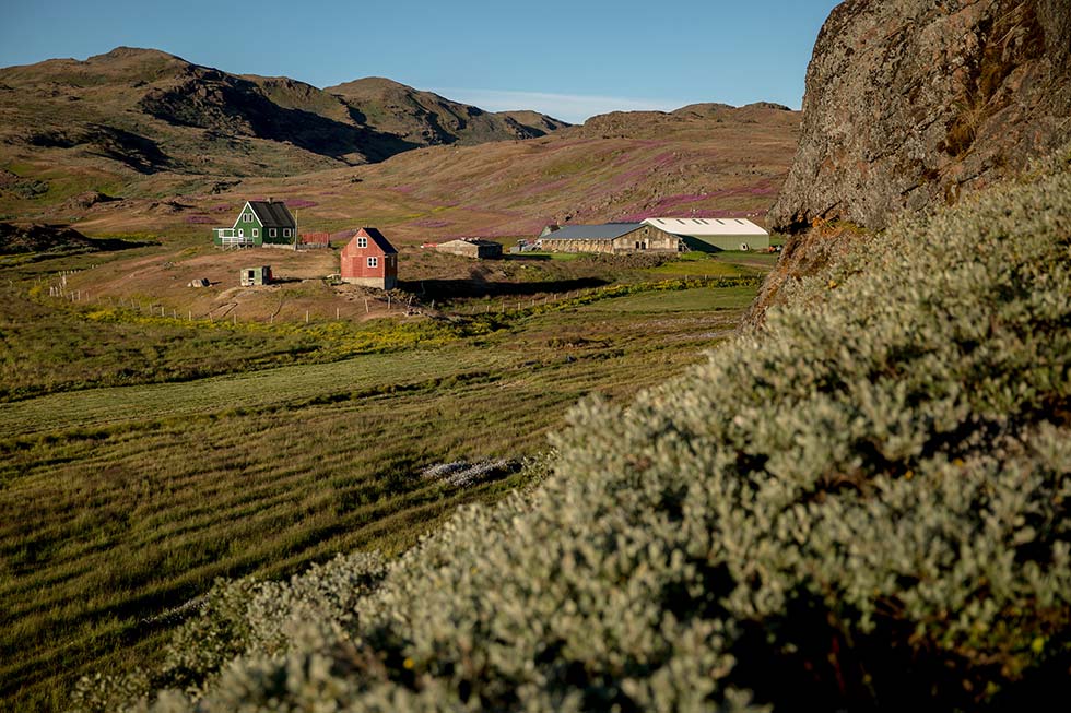 Fattoria a Tasiusaq - Groenlandia meridionale